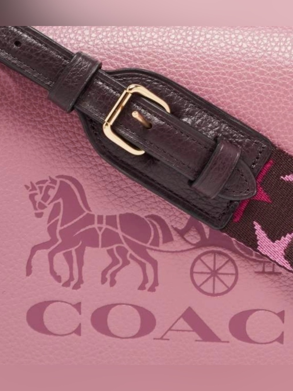 Coach Jes Crossbody Bag Colorblock Rose NWOT - Picture 2 of 7